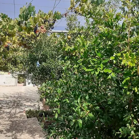 Villa Cosy Saranda