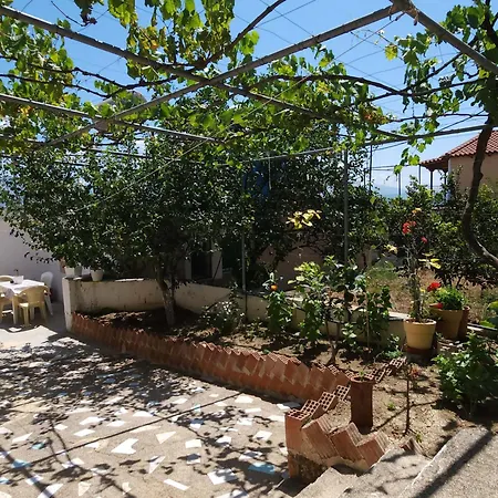 Cosy * Sarandë